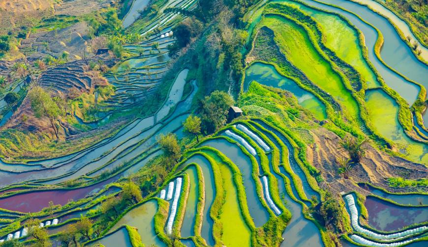 宝妈必备神器：五通桥区产品视频拍摄轻松育儿好帮手