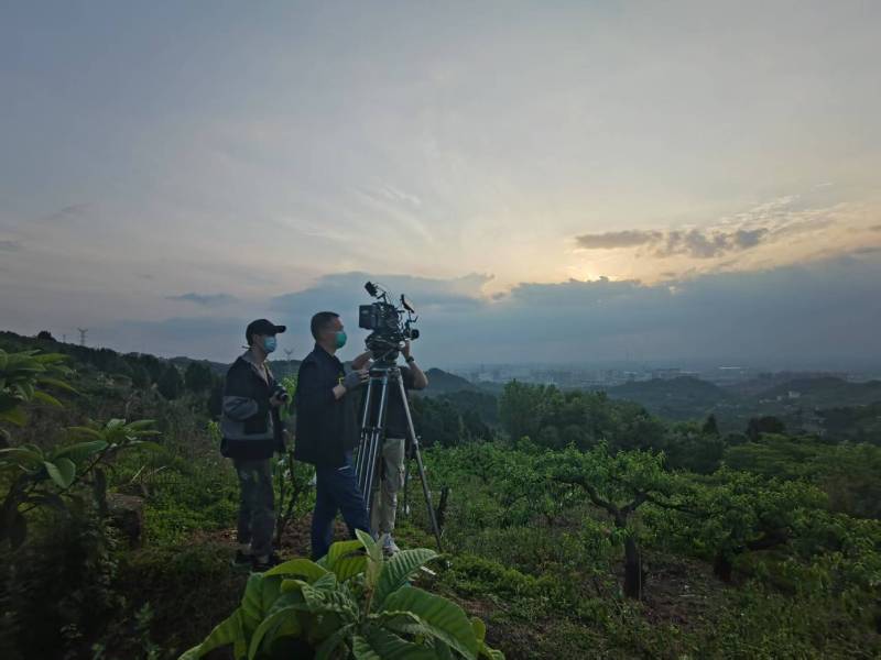 创意破圈！五通桥区电商产品宣传视频用故事化叙事引爆流量
